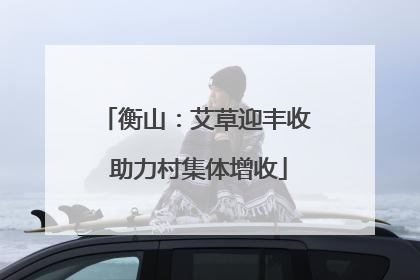 衡山：艾草迎丰收 助力村集体增收