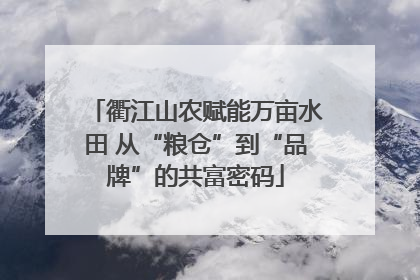 衢江山农赋能万亩水田 从“粮仓”到“品牌”的共富密码