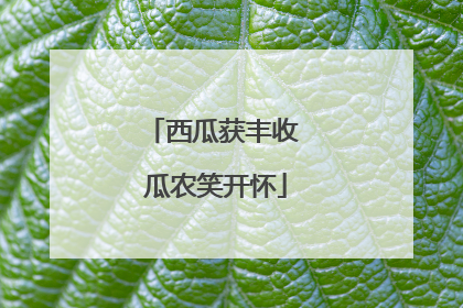 西瓜获丰收 瓜农笑开怀