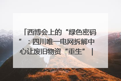 西博会上的“绿色密码”：四川唯一电网拆解中心让废旧物资“重生”｜西博寻“新”记