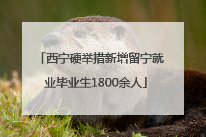 西宁硬举措新增留宁就业毕业生1800余人