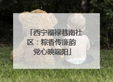 西宁福禄巷南社区：粽香传廉韵 党心映端阳