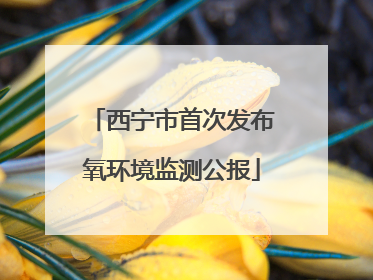 西宁市首次发布氧环境监测公报