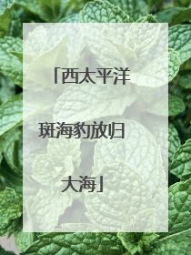 西太平洋斑海豹放归大海