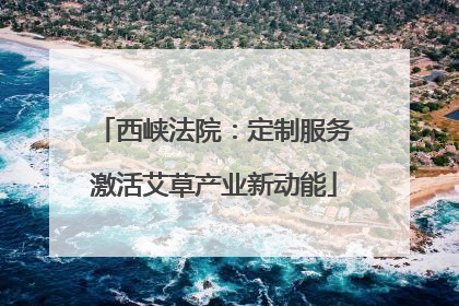 西峡法院：定制服务激活艾草产业新动能