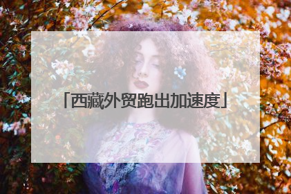 西藏外贸跑出加速度