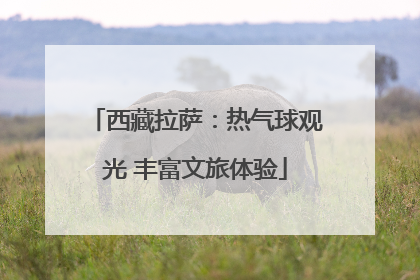 西藏拉萨：热气球观光 丰富文旅体验