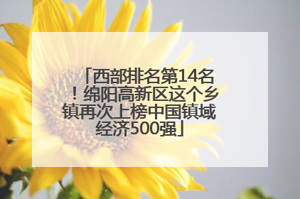 西部排名第14名！绵阳高新区这个乡镇再次上榜中国镇域经济500强