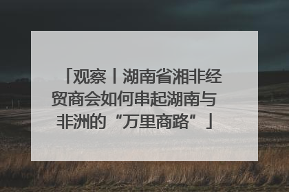 观察丨湖南省湘非经贸商会如何串起湖南与非洲的“万里商路”