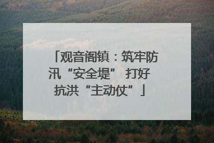 观音阁镇：筑牢防汛“安全堤” 打好抗洪“主动仗”