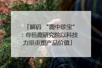 解码 “鹿中珍宝”：尊禧鹿研究院以科技力量重塑产品价值