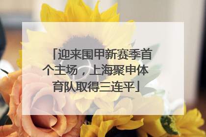 迎来围甲新赛季首个主场，上海聚申体育队取得三连平