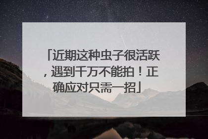近期这种虫子很活跃，遇到千万不能拍！正确应对只需一招