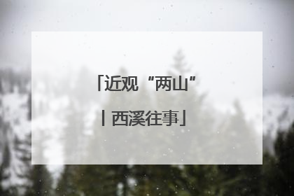 近观“两山”丨西溪往事