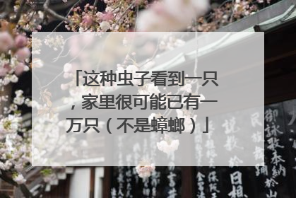 这种虫子看到一只，家里很可能已有一万只（不是蟑螂）