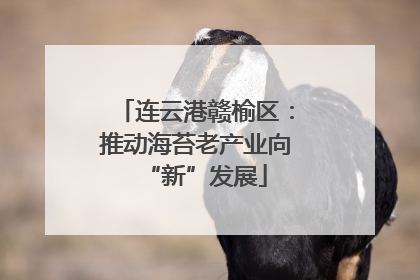 连云港赣榆区：推动海苔老产业向“新”发展