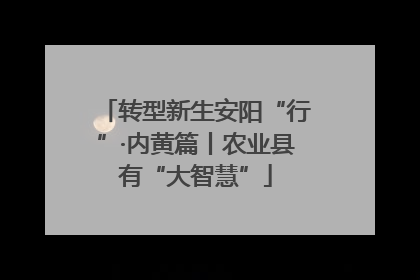转型新生安阳“行”·内黄篇丨农业县有“大智慧”