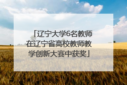 辽宁大学6名教师在辽宁省高校教师教学创新大赛中获奖