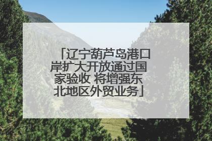 辽宁葫芦岛港口岸扩大开放通过国家验收 将增强东北地区外贸业务