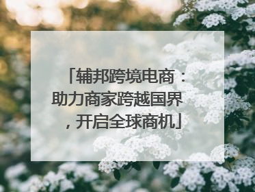 辅邦跨境电商：助力商家跨越国界，开启全球商机