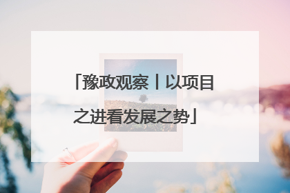 豫政观察丨以项目之进看发展之势
