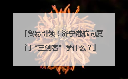贸易引领！济宁港航向厦门“三剑客”学什么？