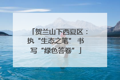 贺兰山下西夏区：执“生态之笔” 书写“绿色答卷”