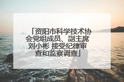资阳市科学技术协会党组成员、副主席刘小彬 接受纪律审查和监察调查