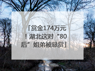 赏金174万元！湖北这对“80后”姐弟被悬赏