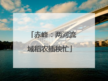 赤峰：两河流域稻农插秧忙