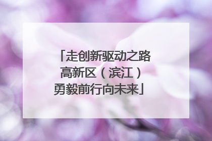 走创新驱动之路 高新区（滨江）勇毅前行向未来