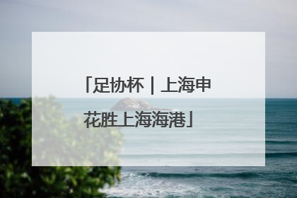 足协杯｜上海申花胜上海海港
