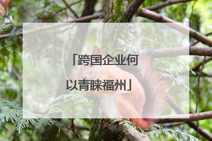 跨国企业何以青睐福州