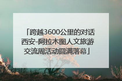 跨越3600公里的对话 西安-阿拉木图人文旅游交流周活动圆满落幕