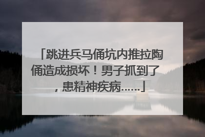 跳进兵马俑坑内推拉陶俑造成损坏！男子抓到了，患精神疾病……