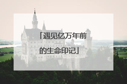 遇见亿万年前的生命印记