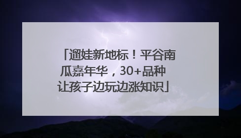 遛娃新地标！平谷南瓜嘉年华，30+品种让孩子边玩边涨知识