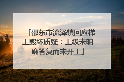 邵东市流泽镇回应梯土毁坏质疑：上级未明确答复而未开工