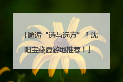 邂逅“诗与远方”！沈阳宝藏夏游地推荐！