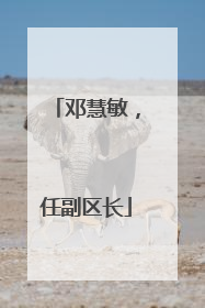 邓慧敏，任副区长