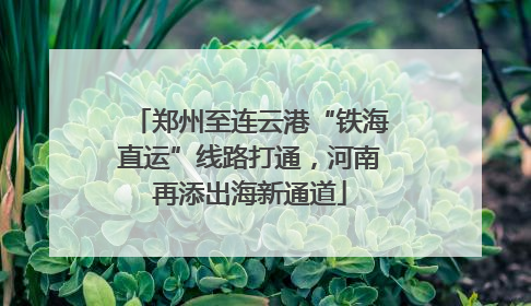 郑州至连云港“铁海直运”线路打通，河南再添出海新通道