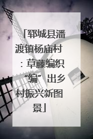 郓城县潘渡镇杨庙村：草藤编织“编”出乡村振兴新图景