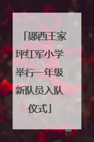 郧西王家坪红军小学举行一年级新队员入队仪式