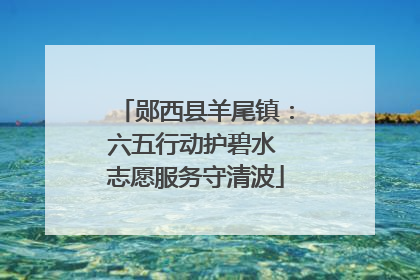 郧西县羊尾镇：六五行动护碧水 志愿服务守清波