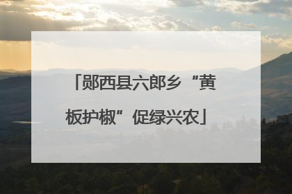 郧西县六郎乡“黄板护椒”促绿兴农