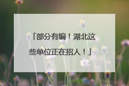 部分有编！湖北这些单位正在招人！