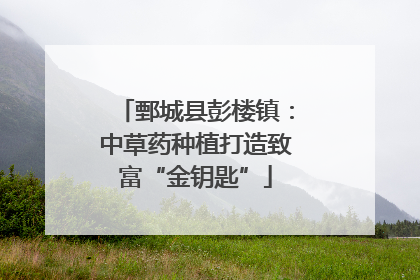 鄄城县彭楼镇：中草药种植打造致富“金钥匙”
