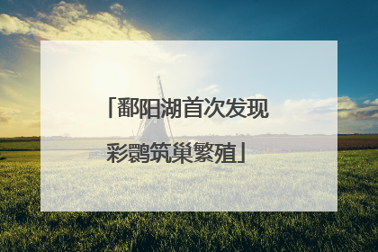 鄱阳湖首次发现彩鹮筑巢繁殖