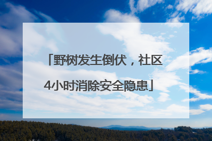 野树发生倒伏，社区4小时消除安全隐患