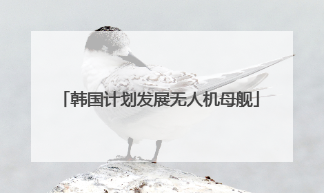 韩国计划发展无人机母舰